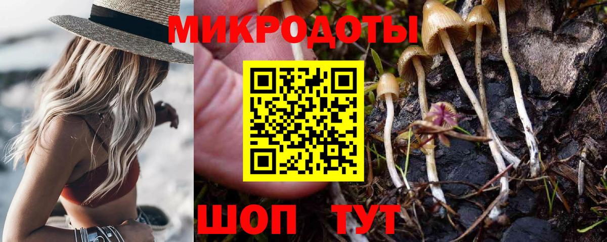 Галлюциногенные грибы Cubensis Энгельс