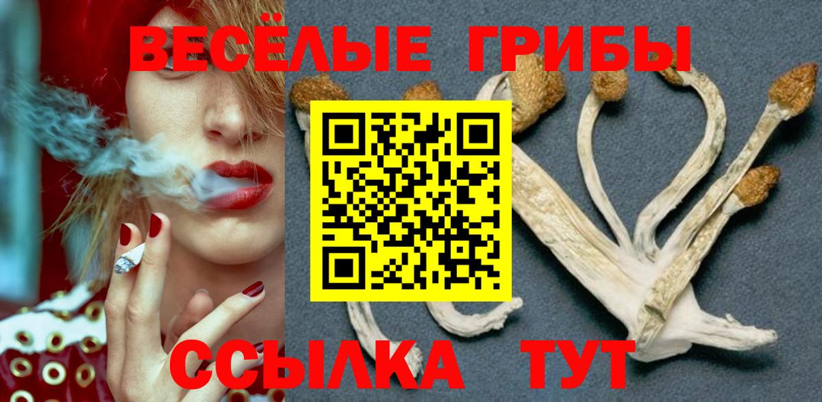 Псилоцибиновые грибы Psilocybine cubensis  Вход с VPN  где купить наркоту  Энгельс 